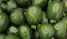 峨边吃瓜事件,一场网络狂欢背后的真相与反思