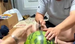 瓜地吃瓜直播,揭秘网红直播背后的趣味与商机