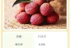 荔枝吃瓜小说全文阅读,一场穿越时空的甜蜜冒险