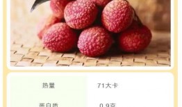 荔枝吃瓜小说全文阅读,一场穿越时空的甜蜜冒险