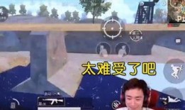 吃瓜系统江小鱼,揭秘吃瓜系统背后的秘密与魅力