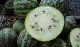 西湖瓜如何切片吃,解锁夏日清新美味新吃法