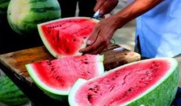 地里摘瓜的感觉吃瓜