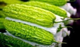 大暑节气吃三瓜,三瓜养生正当时