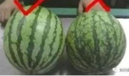 温哥华本地吃瓜,解锁地道美食新体验