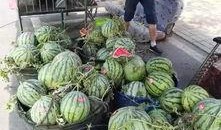 安徽平湖吃瓜事件,一场网络热议背后的真相与反思