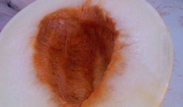 伊丽莎白瓜苦怎么吃