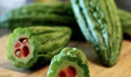 朝堂吃瓜朝堂瓜事合集,揭秘古代宫廷的吃瓜盛宴