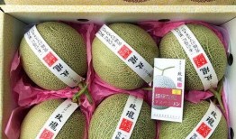 减肥后吃蜜瓜好吗,减肥后食用蜜瓜的适宜性探讨