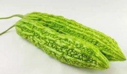 6个吃瓜作品,揭秘娱乐圈幕后风云