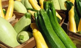 巨野吃瓜视频推荐,揭秘热门话题背后的真相与笑料