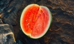 晋南吃瓜,探寻吃瓜文化的历史与魅力