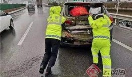 吃瓜群众奇葩车,创意无限，笑料连连