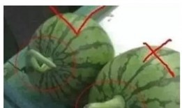 谁还没吃这个瓜,谁还没吃这个瓜？