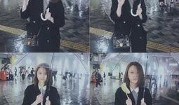 纯情吃瓜,揭秘娱乐圈甜蜜背后的酸辣故事