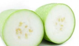 大暑节气吃三瓜,三瓜养生正当时