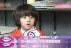 小阿伟吃瓜群众,吃瓜群众的视角，揭秘娱乐圈风云