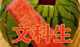 满级吃瓜2,揭秘娱乐圈的顶级八卦盛宴