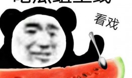 吃瓜网链接,带你领略网络热点背后的故事