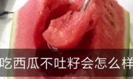 小伙吃瓜不吐籽成西瓜人,小伙吃瓜不吐籽，诠释独特生活态度