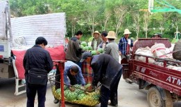 唐庄镇最近吃瓜视频