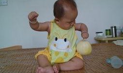 香瓜猫吃瓜视频,趣味横生的瓜界探险记