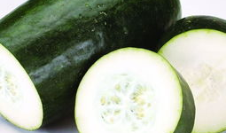 夏吃瓜哪个瓜是热性,揭秘夏吃瓜的养生之道