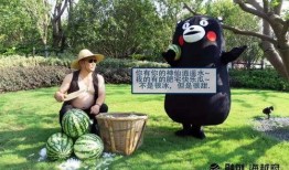 安徽平湖吃瓜事件,一场网络热议背后的真相与反思