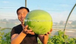 吃瓜四十年,见证娱乐圈风云变幻