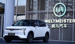 威马汽车吃瓜,揭秘新能源汽车行业背后的风波与真相