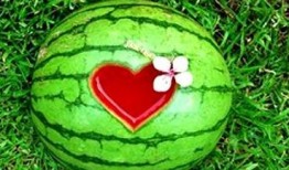 梦到自己吃瓜儿,瓜果飘香，味蕾之旅