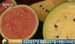 全体吃瓜,吃瓜群众如何定义当代网络文化现象