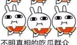 吃瓜深情,揭秘娱乐圈背后的故事