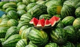 吃瓜应该怎么吃瓜,教你如何优雅“吃瓜”