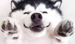 吃瓜群众直播台词大全,笑料百出，趣味横生