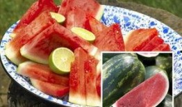 感冒时期可以吃瓜不,瓜果的适宜食用指南