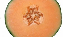 孕妇可以吃哈密瓜和梨吗,哈密瓜与梨的适宜食用解析