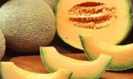 吃哈密瓜原图,甜蜜滋味，尽收眼底