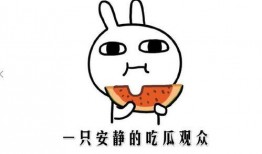 吃瓜博主简介,揭秘幕后故事，带你走进吃瓜界的风云变幻