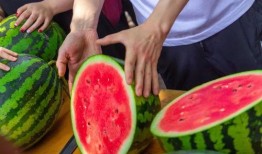 学校最新吃瓜事件,揭秘最新“吃瓜”事件背后的真相