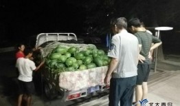 全体吃瓜,吃瓜群众如何定义当代网络文化现象