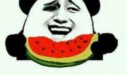 吃瓜群众回到原点,一场关于成长与反思的旅程