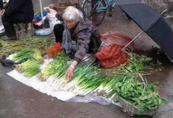 老人摘路边的瓜吃,传承民间生活智慧