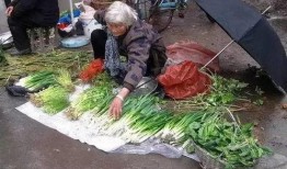 老人摘路边的瓜吃,传承民间生活智慧