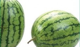 吃荀瓜会过敏吗,食用需谨慎