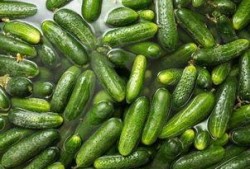 吃了小瓜吃大瓜会中毒吗,揭秘“吃大瓜中毒”真相