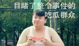 财经吃瓜君,揭秘娱乐圈背后的财经秘密