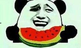 喜子瓜能给人吃吗,美味还是禁忌？探究其食用安全与口感之谜